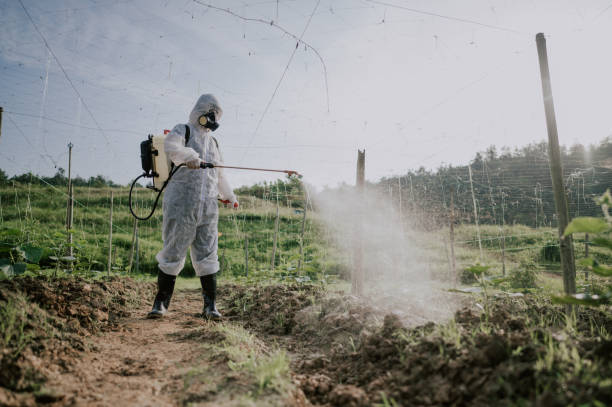 Best Mosquito Control Services  in Dallas, NC