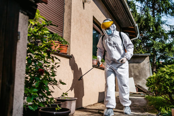Trusted Dallas, NC Pest Control Experts
