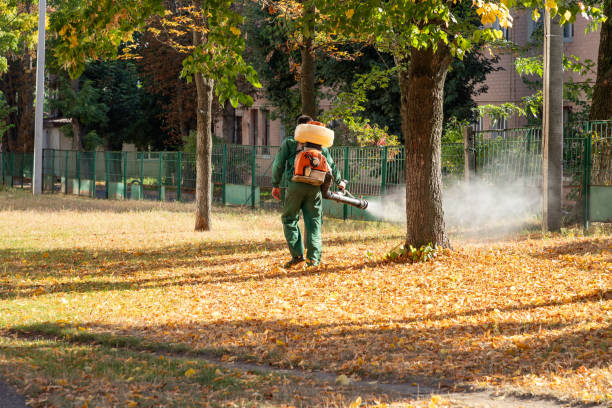 Best Pest Control Near Me in Dallas, NC